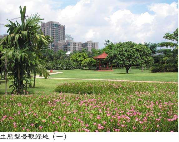 生態型景觀綠地（一）